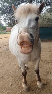 20240425_103149_exported_0