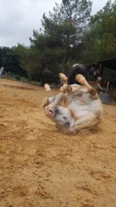 20240907_170730_exported_4099