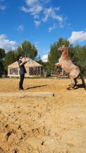 20241008_154342_exported_26568