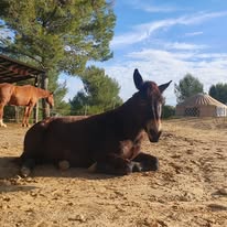 Just Between Us couché