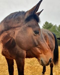 473620540_122188836374163687_9100789203601128207_n