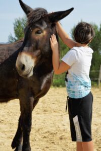 Just Between Us calin