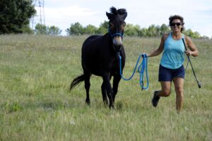 Just Between Us au trot