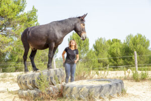 Just Between Us sur son perchoir