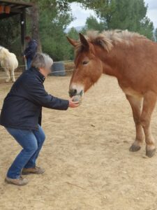 Amulette et sa récompense