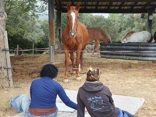 art-therapie-croquis-moyen