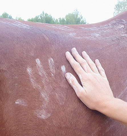 art-therapie-empreinte-main-cheval-moyen