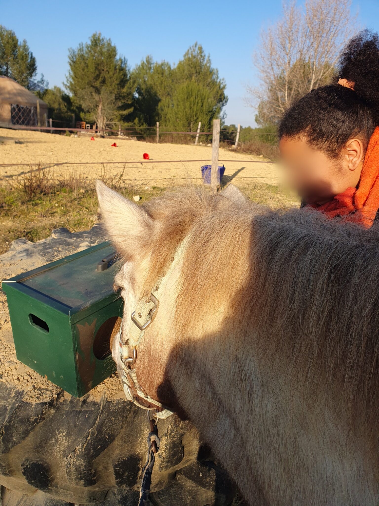 equi-handi-activite-decouverte