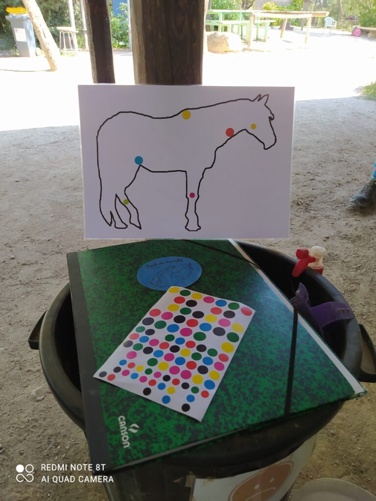 equi-handi-activite-gomette-poil-de-parole