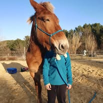 equi-handi-activite-poile-de-parole-amulette