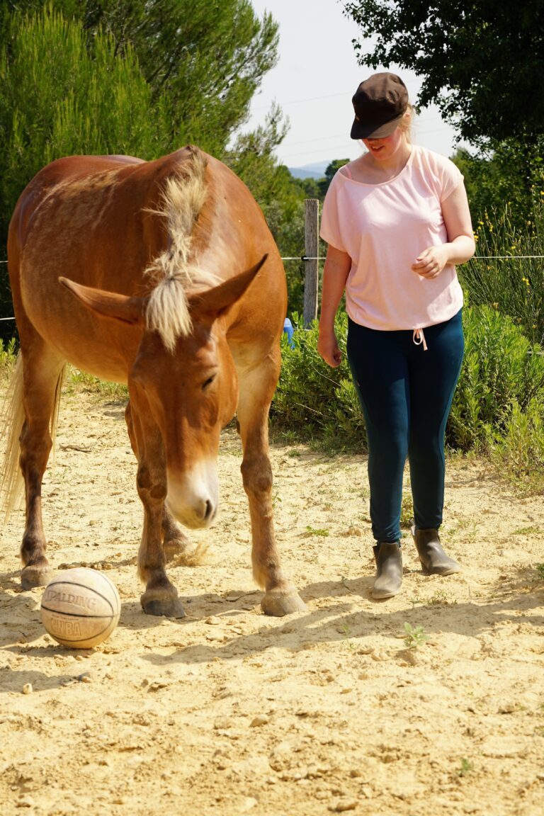 equi-handi-amulette-mi-ane-mi-cheval-poil-de-parole