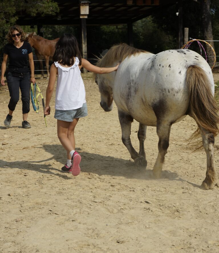 equi-handi-cheval-rubis-poil-de-parole