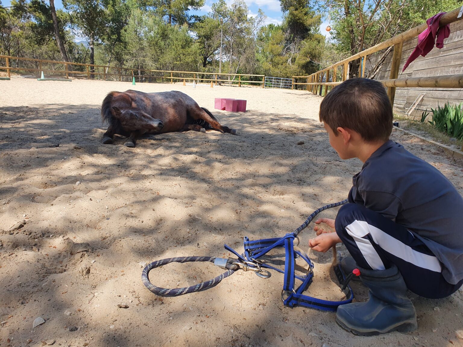 equi-handi-enfant-poil-de-parole