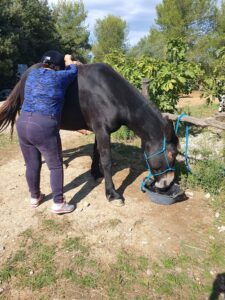 equi-handi-femme-poil-de-parole