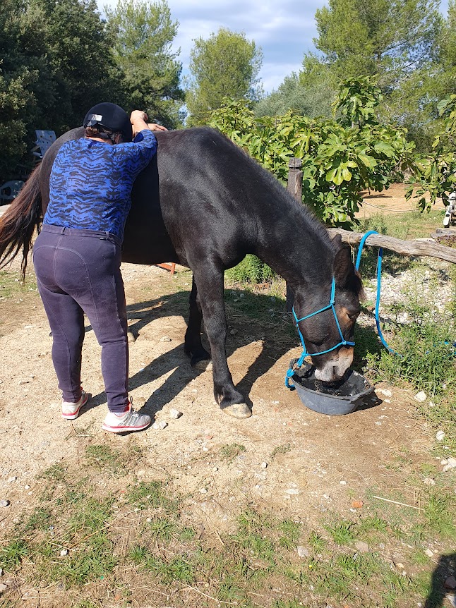 equi-handi-femme-poil-de-parole