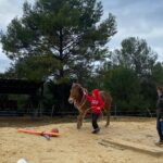 equi-handi-jeu-cerceau-poil-de-parole