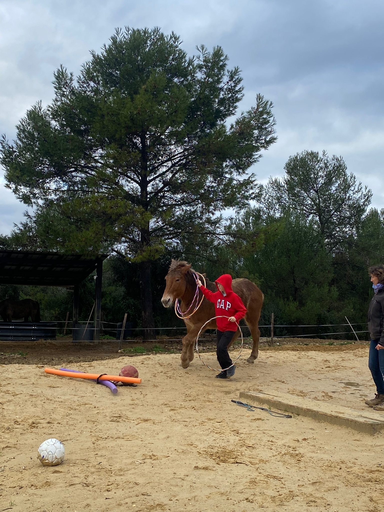 equi-handi-jeu-cerceau-poil-de-parole