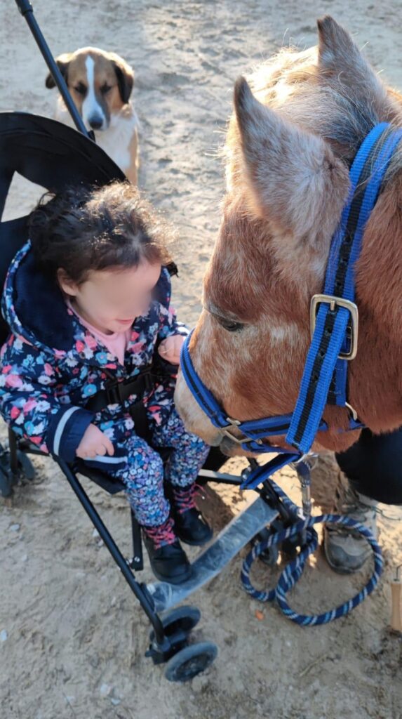 equi-handi-premier-contact-cheval-vasco-enfant