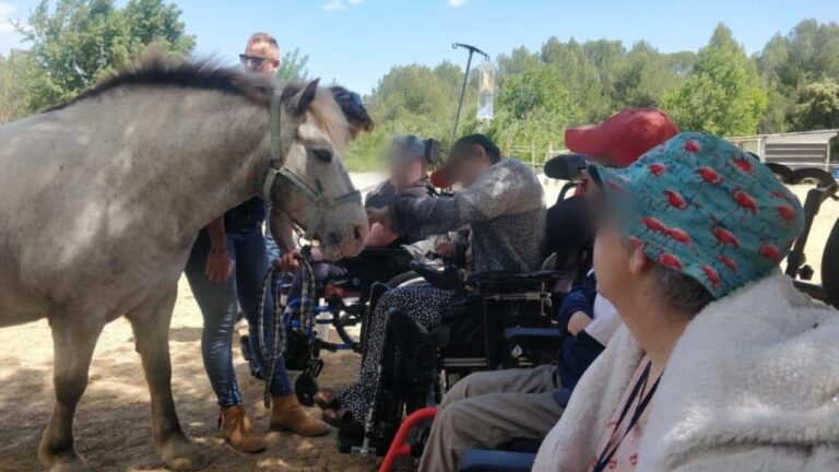 equi-handi-rubis-groupe-collectif-poil-de-parole