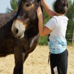 equi-handi-vasco-poney-poil-de-parole