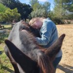 equitherapie-handi-just-between-us