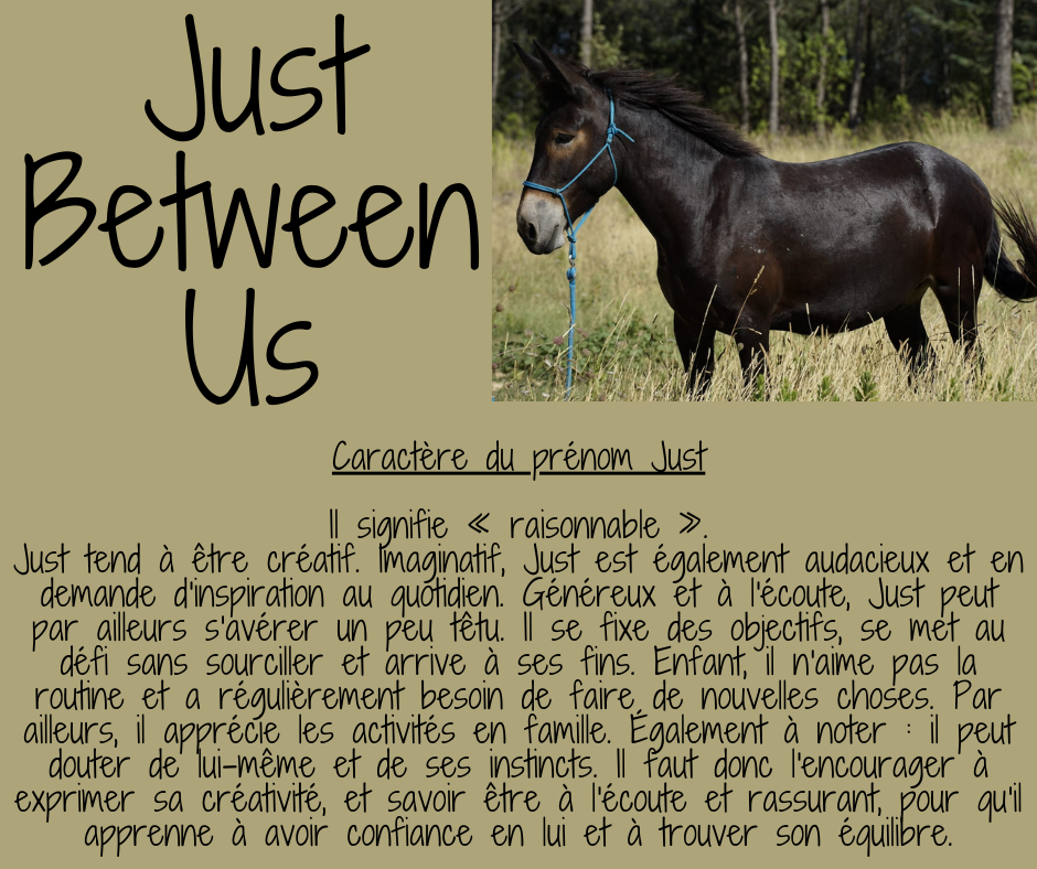 Just Between Us Thérapeute