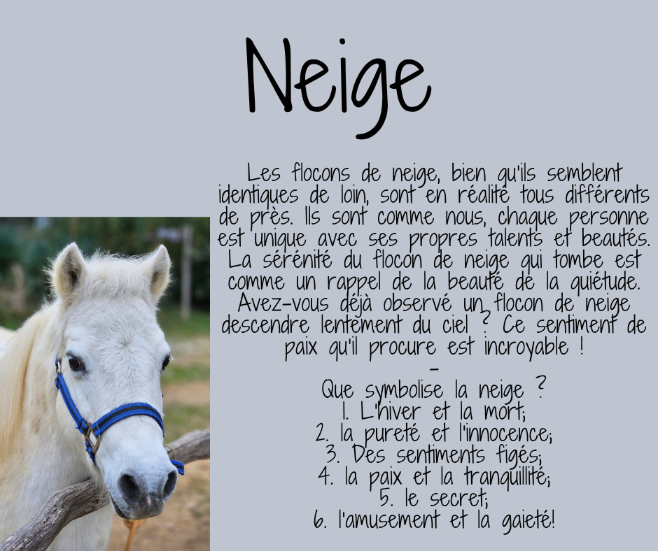 Neige Thérapeute