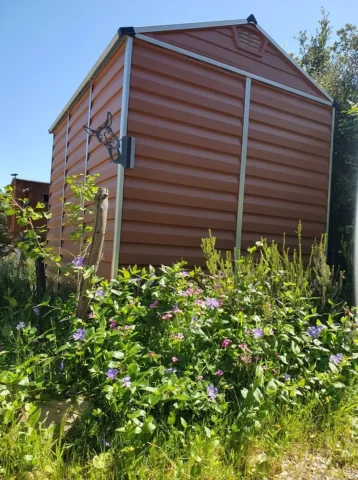 Hangard Poil de Parole - Bel Equ'Art