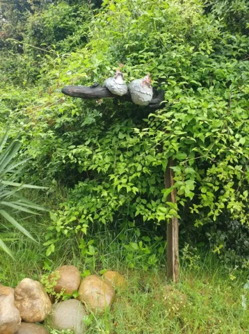 Décorations d'extérieur