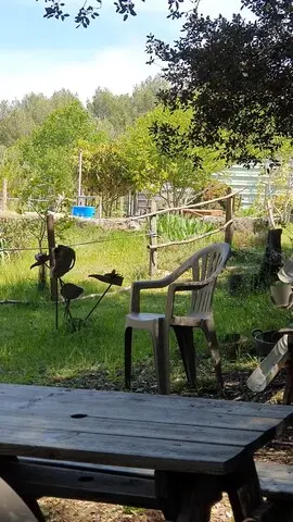 Espace ombragé aménagé