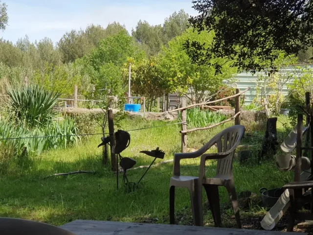 Jardin aménagé et végétation