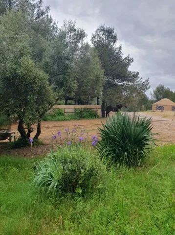 Vue de la jument Uranie et de la yourte de Poil de Parole - Bel Equ'Art