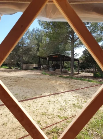 Vue de l'abris du troupeau depuis la fenêtre de la yourte