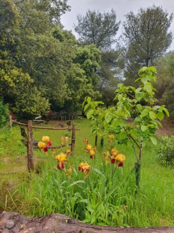 Un terrain aménagé en pleine nature