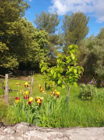 Terrain de verdure, fleuri et arboré